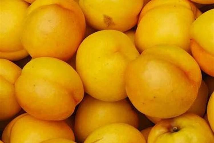 桃树施什么肥料桃子甜 如何施肥效果好