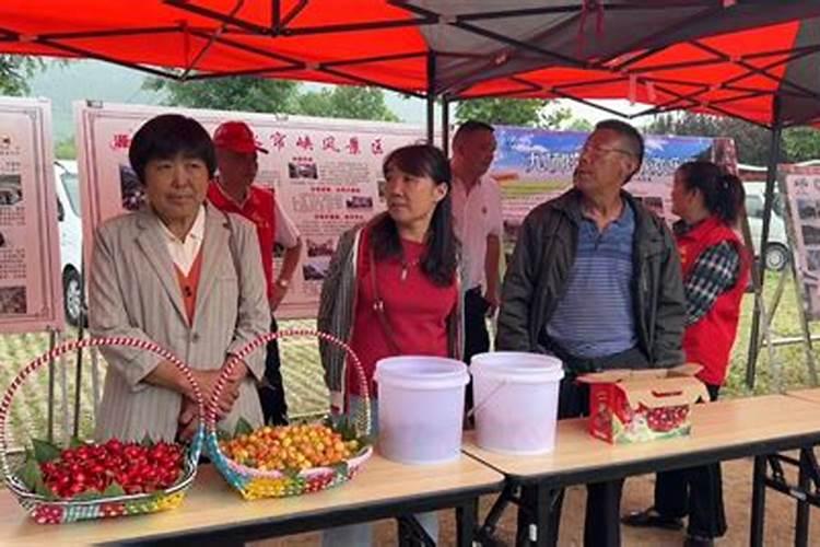 大棚桃子套袋以后需要什么肥