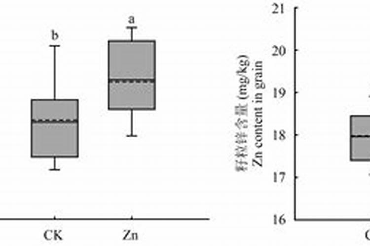 花生重茬用什么农药或肥料