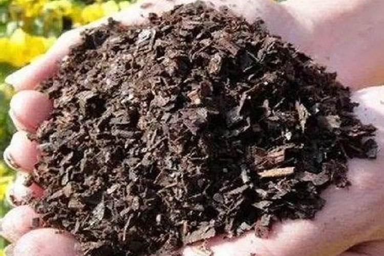 用树叶做钾肥好,还是腐烂以后做有机肥好？如何有效利用？