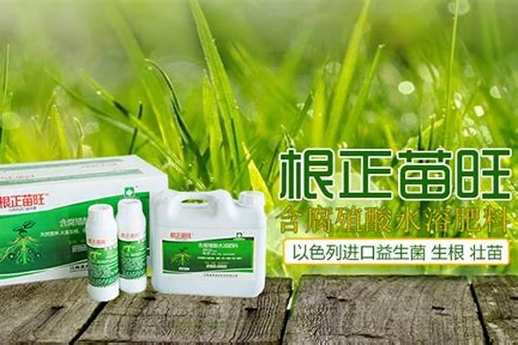 伽利略水溶肥是进口的吗