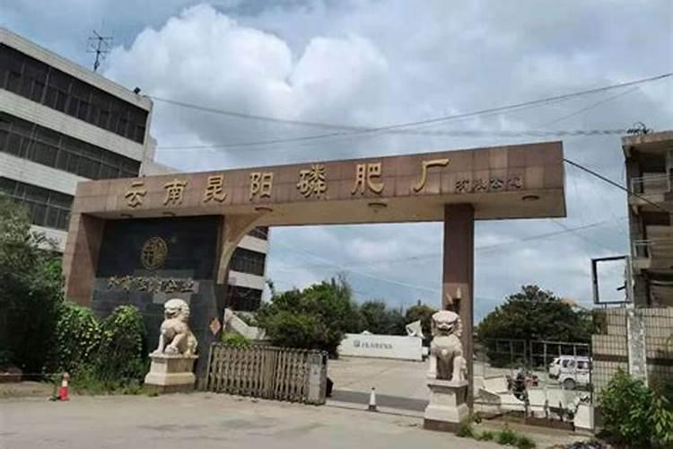 一般化工厂有哪些