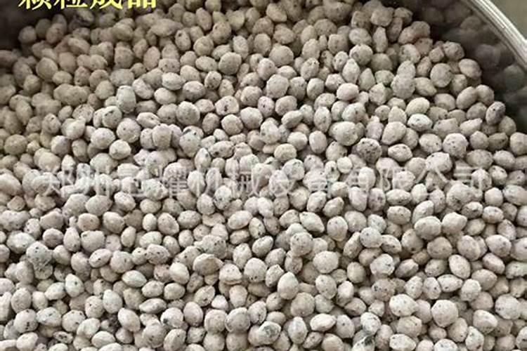 辣椒幼苗什么时候施肥