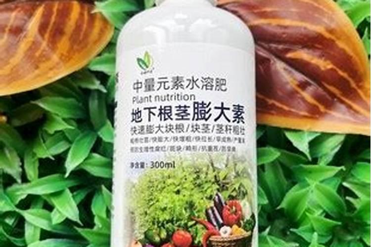 半夏增产叶面肥,生根肥料什么时候用效果好？