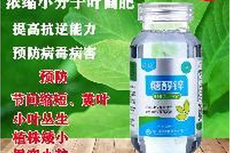 如何预防肥害的发生