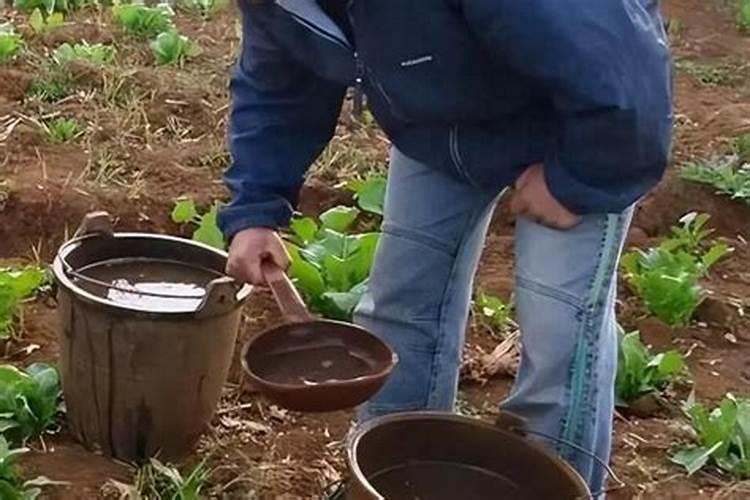 绿风速液态氮肥的具体使用方法和建议