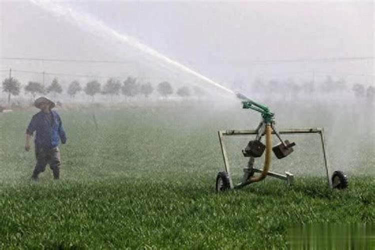 小麦喷杀菌剂和叶面肥能浇地吗