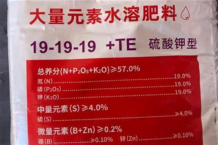 深受农资人喜爱的含氨基酸水溶肥到底有多厉害？