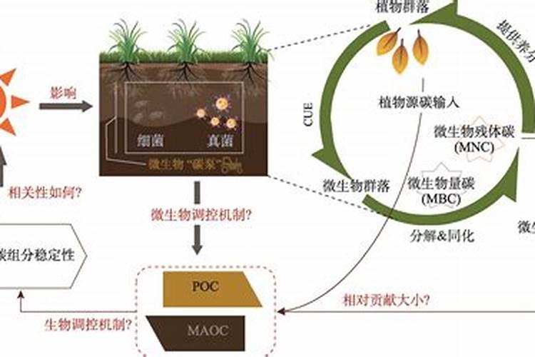 牛粪碳化后的优缺点？