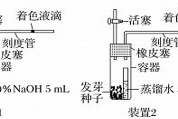 氮磷钾对马铃薯的茎叶生长和光合作用有哪些影响？