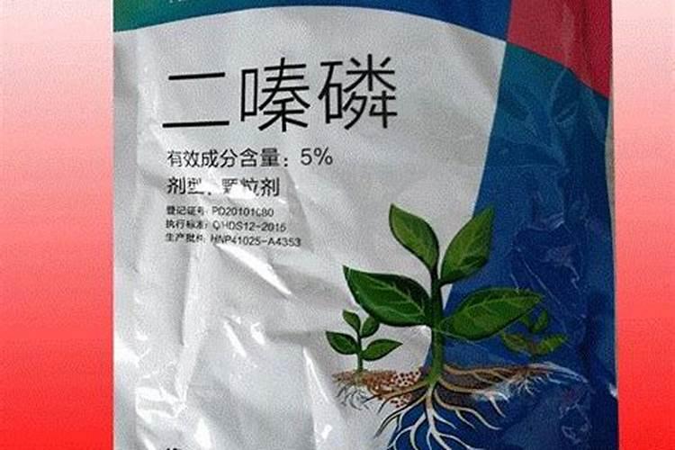 桉树的种植.怎样才能种好桉树？