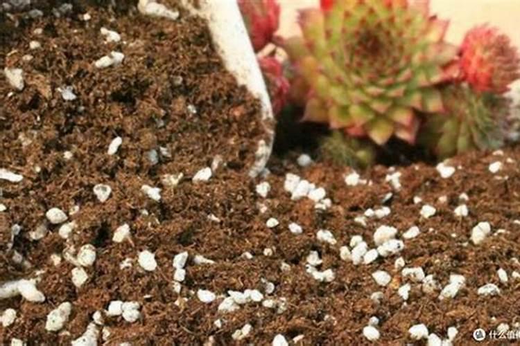 木灰是什么肥料