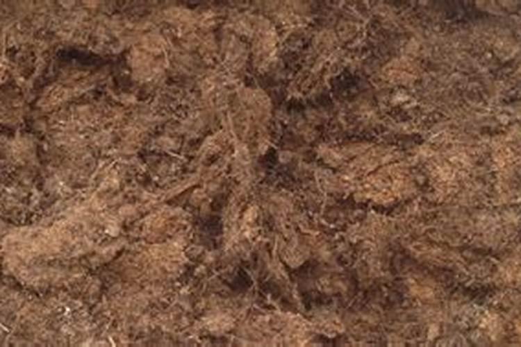 腐植酸钠(钾)果树安全施用技术是哪些？