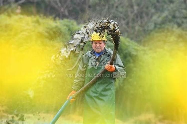怎样施用沼液防治农作物病虫害？