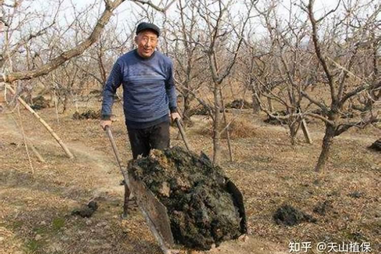 苏州市供销合作总社总社简介