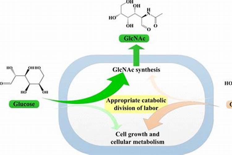 作物冲施葡萄糖起什么作用
