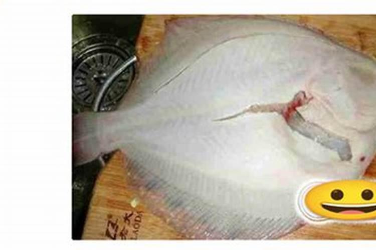 风景树移栽方法