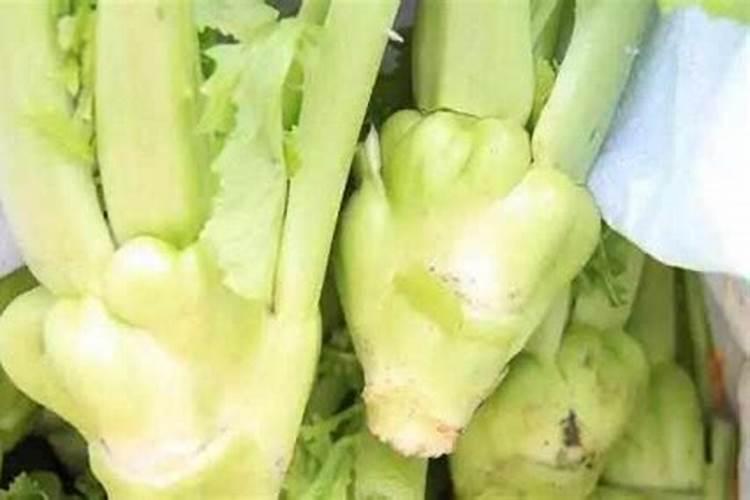 常吃榨菜对身体有什么不好!