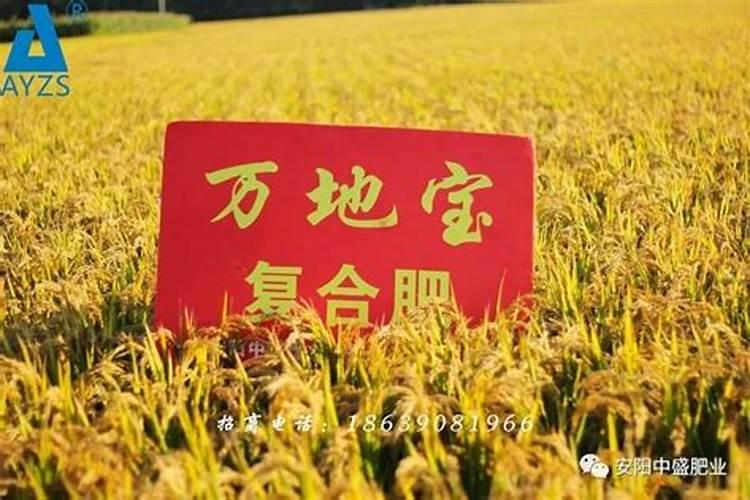 水稻硼肥的作用及使用方法