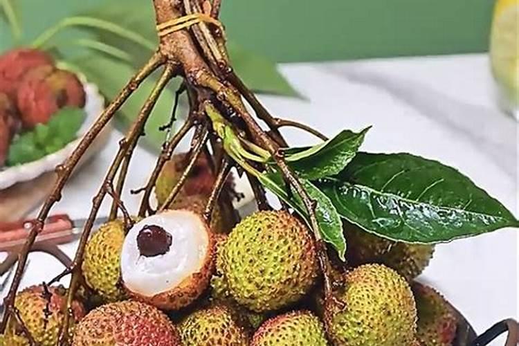 荔枝的栽培技术