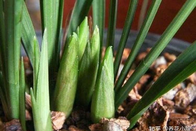 硼钙镁锌可以和代森锰锌混配吗？