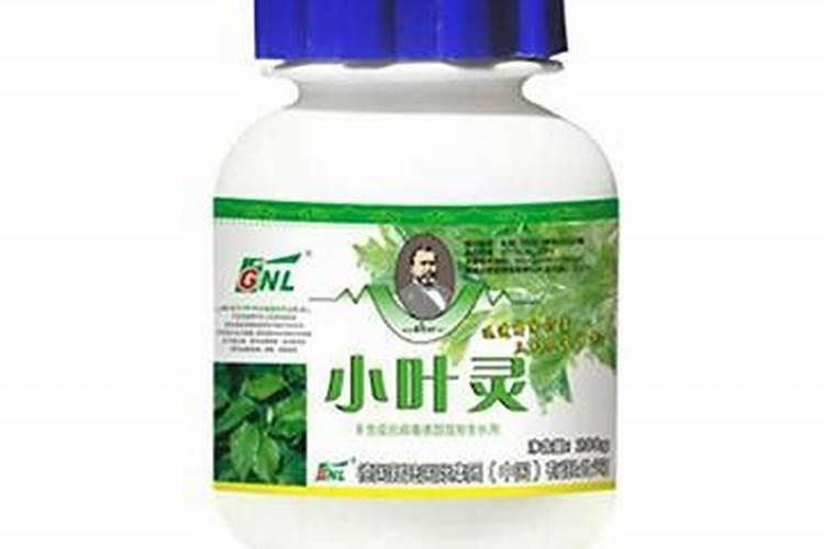 如何让榕树的叶子发亮