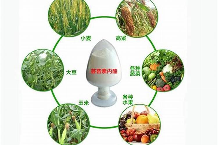 调节剂胺鲜酯和芸苔素哪个效果更好？农户应该如何选择？