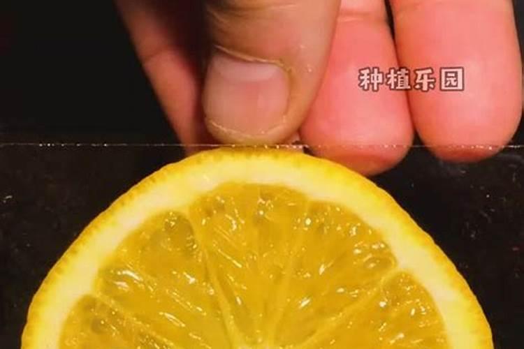 哪些水果可以制作肥料