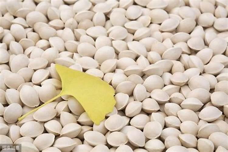 银杏树上什么肥料最好