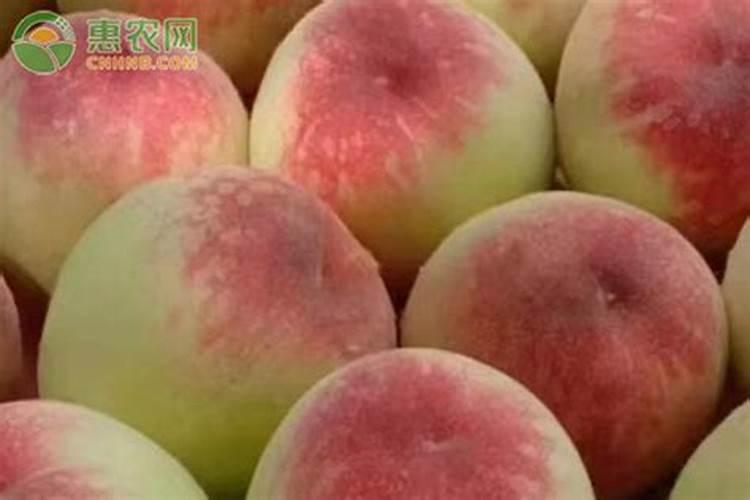 大棚桃子套袋以后需要什么肥