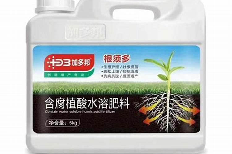 水溶肥冲上几天见效
