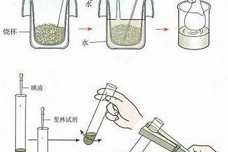 防白菜烂根烂帮不用药的办法