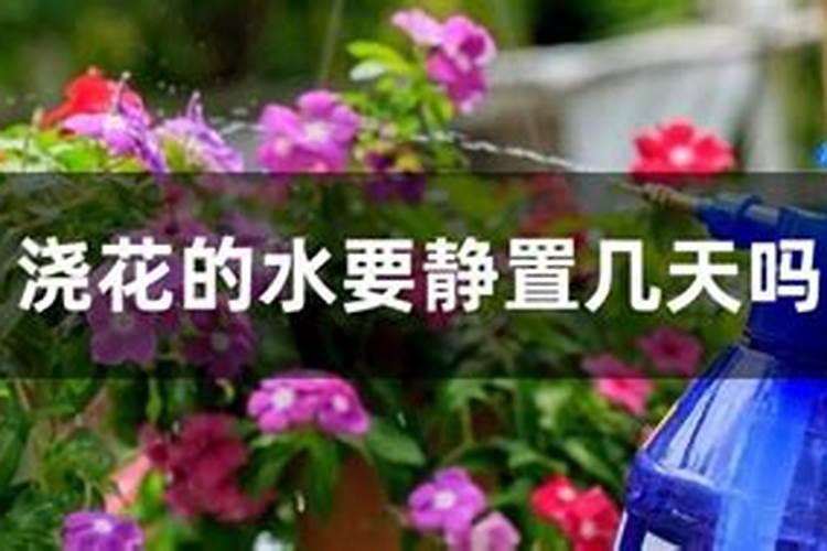 酶保姆–冲施肥的这些事情你知道吗？