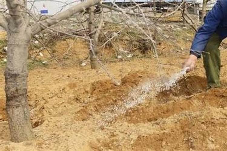 万能肥—磷酸二氢钾,你买的是真的吗？