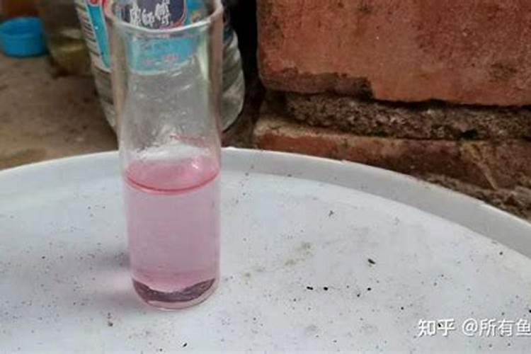 水产养殖亚硝酸盐高了怎么处理啊