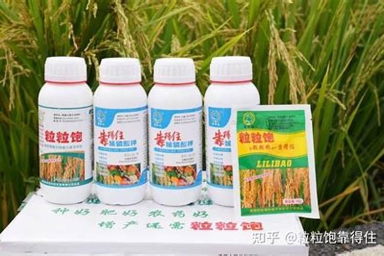 种土豆用什么肥好