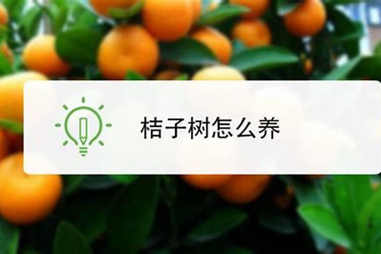 乌鲁木齐桶装水哪家好