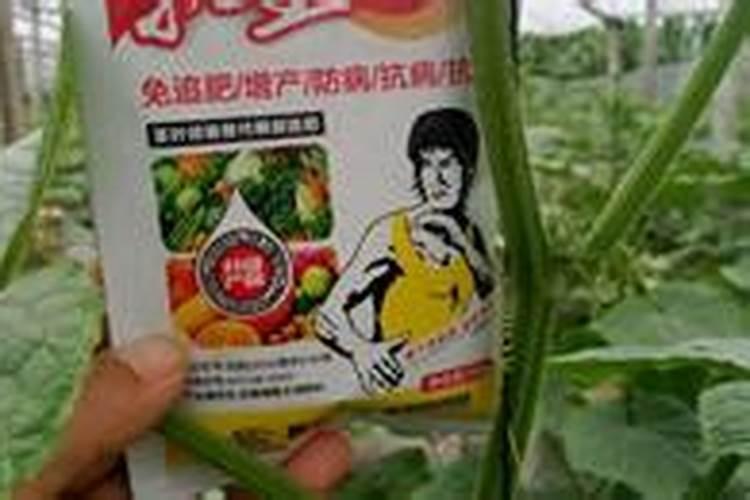 阳半甜柿冬季施什么化肥好？