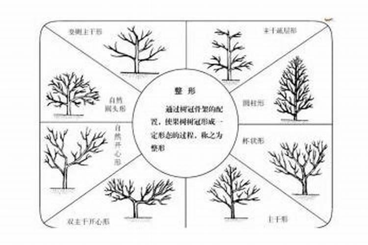 什么肥料适合柑橘在膨果期用？