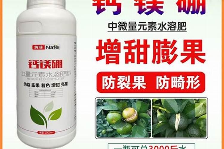 生物化学中PLP代表什么？