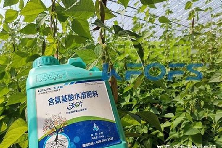 颗粒水溶肥巧棵力在什么作物上用效果好？