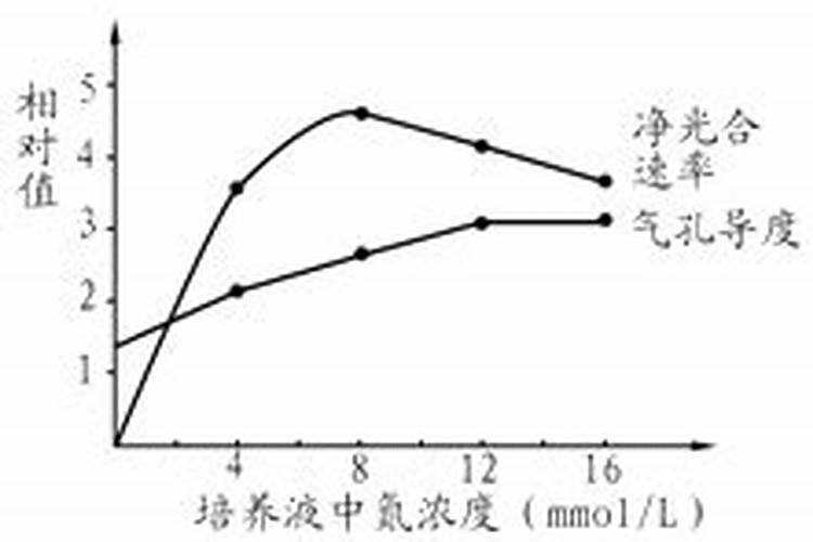 玛格丽特不开花的原因,氮肥过量或光照不足