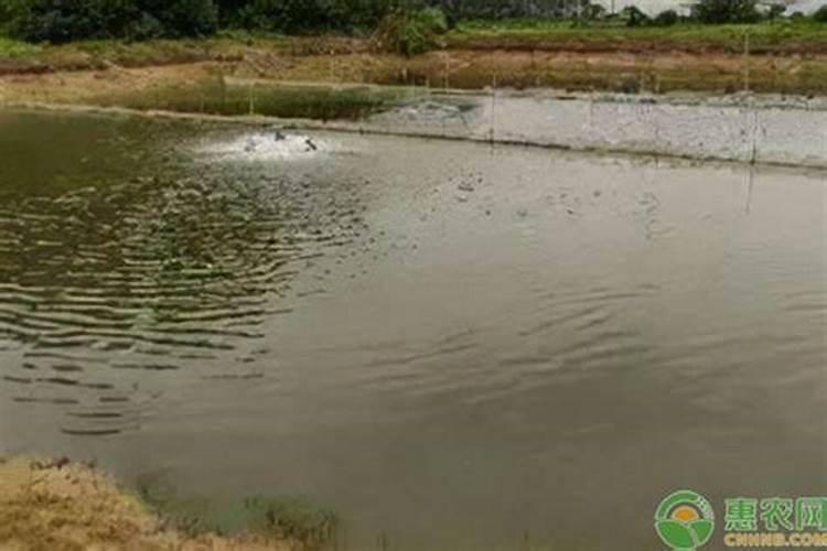 磷肥一亩地施多少