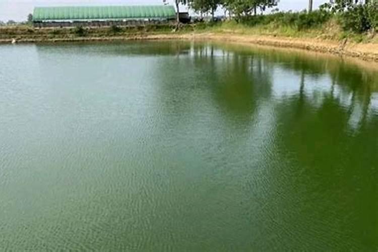 磷肥一亩地施多少