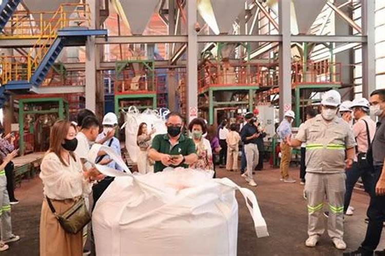 长寿花用什么花肥