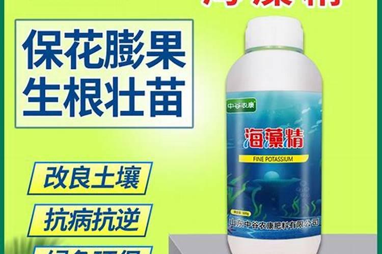 新出一种肥料叫活力素,有谁知道？