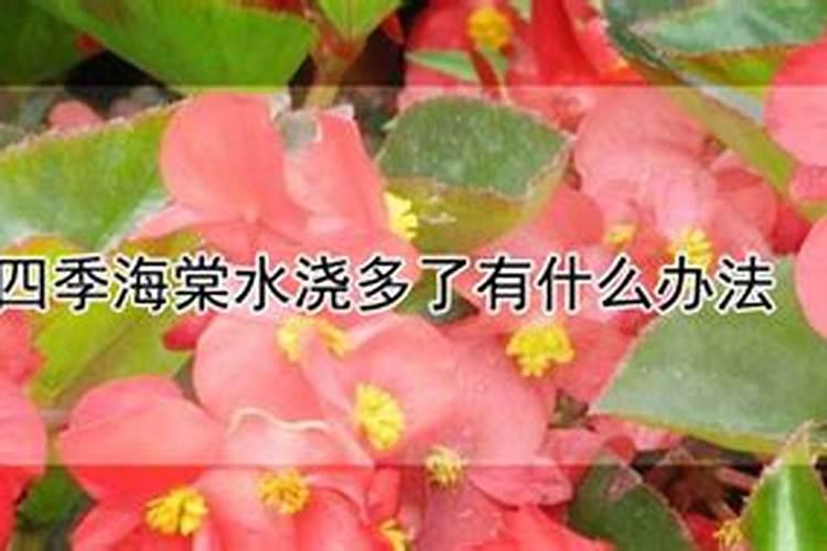 用什么肥好 海棠施肥方法