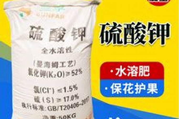 给植物施什么肥比较好？