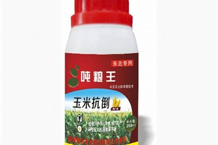 吨粮王适合保定种植吗抗倒伏吗
