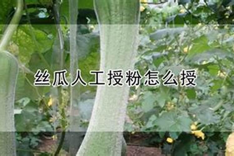 花生亩产量一般能达到多少